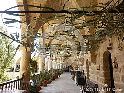 An interesting decoration solution with the help of plants. Stock Photo