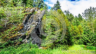 Rock feature along the hiking trail to Whitecroft Falls in British Columbia, Canada Stock Photo