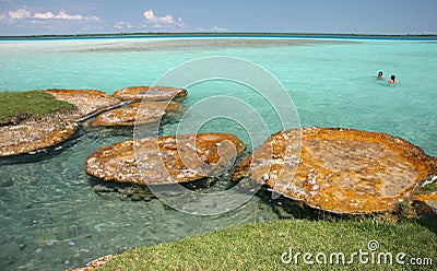 Interesting limestone formations Stock Photo