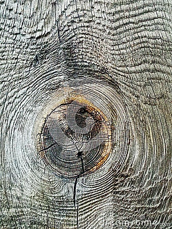 Interesting pattern on the saw cut board. The pattern from a tree knot is wavy on a wooden board. Stock Photo