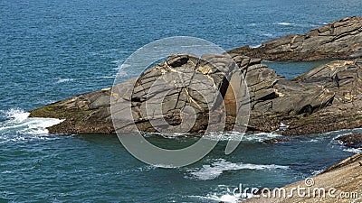 Interesting rock looks like animal face. Stones that look like animals, crocodile or alligator. Stock Photo