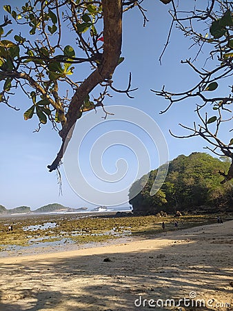 interesting view of the beach when it recedes during the day Stock Photo