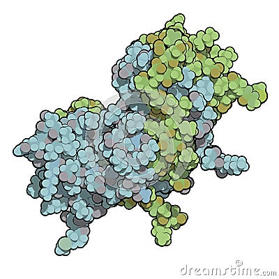 Interferon gamma (IFNg) cytokine molecule, chemical structure. Recombinant form used in treatment of osteopetrosis and chronic Stock Photo