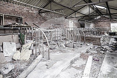 Interior ruins of rural outbuilding. Stock Photo