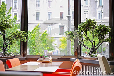 Interior with beautiful bonsai. Restaurant with panoramic windows Stock Photo