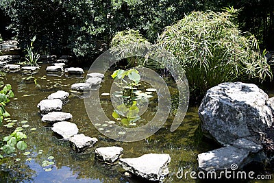 Interior of botanical garden in city Austin Editorial Stock Photo