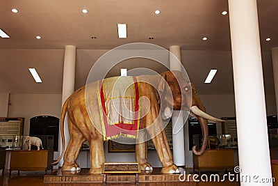 Interior building of Elephants museum and Taxidermy animal for thai people travelers travel visit Ban Ta Klang or Taklang Elephant Editorial Stock Photo