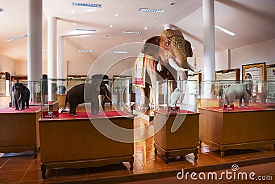 Interior building of Elephants museum and Taxidermy animal for thai people travelers travel visit Ban Ta Klang or Taklang Elephant Editorial Stock Photo