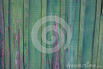 Interior Design - green wooden wall, old wooden board texture, grunge background Stock Photo