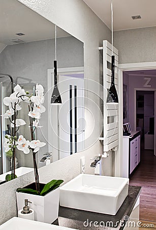 Interior of elegant bathroom with large mirror and orchid flower Stock Photo