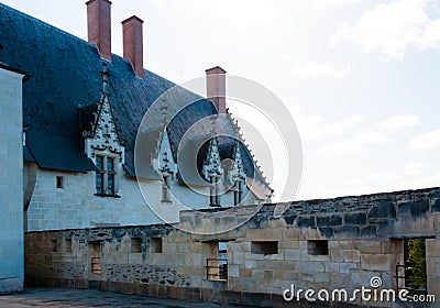 interior elements of the cathedral, Internal view of Square of Castle of Brittany Duke's Editorial Stock Photo