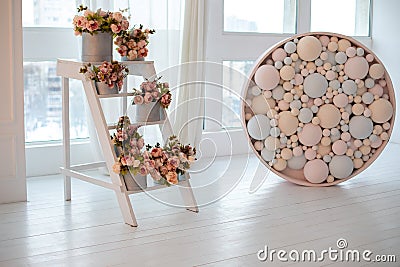 Interior with ladder and Bouquets peonies in round boxes. Wedding ceremony decor. Colorful balls. Decorative Pink and blue bubbles Stock Photo