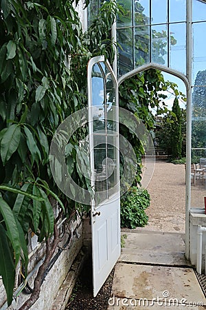 Interior of a large Victorian greenhouse. Stock Photo
