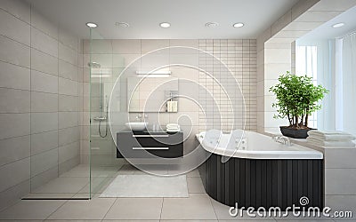 Interior of the modern design bathroom with jacuzzi Stock Photo