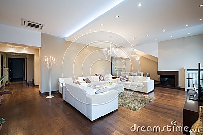 Interior of a modern spacious living room with fireplace Stock Photo