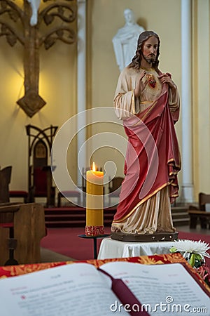 Interior Roman Catholic Cathedral of the Immaculate Conception o Editorial Stock Photo