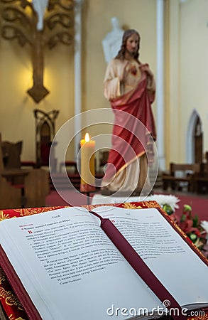 Interior Roman Catholic Cathedral of the Immaculate Conception o Editorial Stock Photo