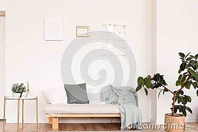 The interior of the room in the Scandinavian style. The room has a sofa with pillows and a blanket, a plant and a small Stock Photo