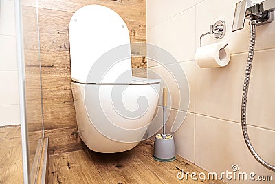 interior of a sanitary room with a toilet and a hygienic shower close-up, in natural colors Stock Photo