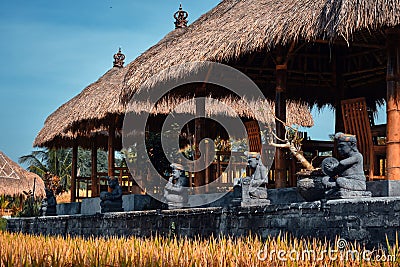 Interior of a traditional Balinese cafe in a rice field. Stock Photo