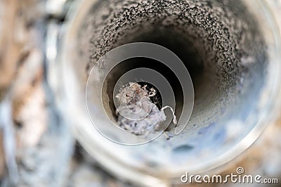 Interior view of dryer vent line with lint and dust buildup Stock Photo