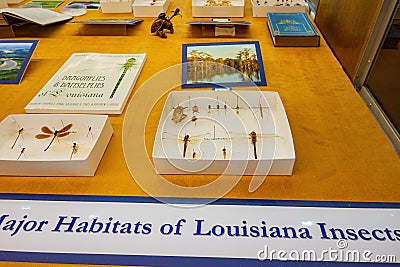 Interior view of the Louisiana State Exhibit Museum Editorial Stock Photo