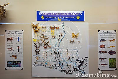 Interior view of the Louisiana State Exhibit Museum Editorial Stock Photo