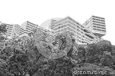 Interlace Stock Photo