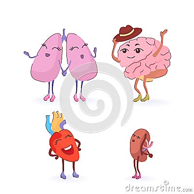 internal human organs brain, lungs, heart, spleen Vector Illustration