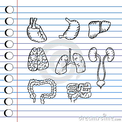 Internal human organs hand drawn icons set Stock Photo