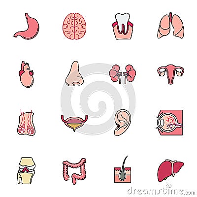 Internal human organs icons set Cartoon Illustration