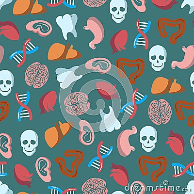 Internal human organs seamless pattern Vector Illustration