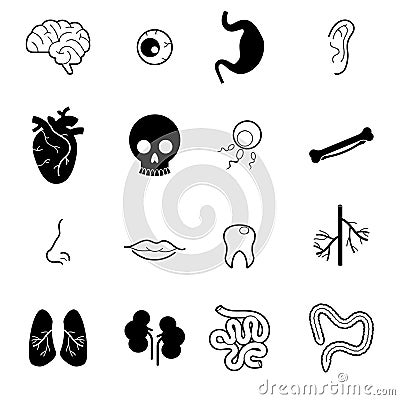 Internal human organs vector icon set Vector Illustration