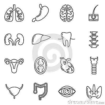 Internal human organs vector icons set in linear design style Vector Illustration