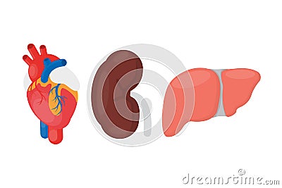 Internal organ donation. Vector Illustration