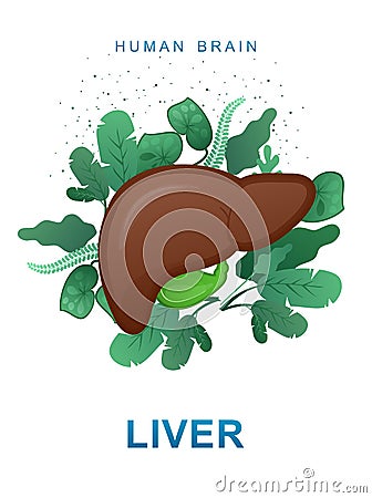 Internal organs gastrointestinal tract poster Vector Illustration