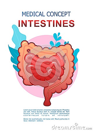 Internal organs gastrointestinal tract poster Vector Illustration