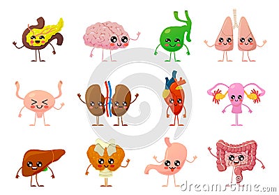 Internal organs. Human smiling brain, bladder and stomach, kidneys and intestines, liver and lungs, heart and pancreas Vector Illustration