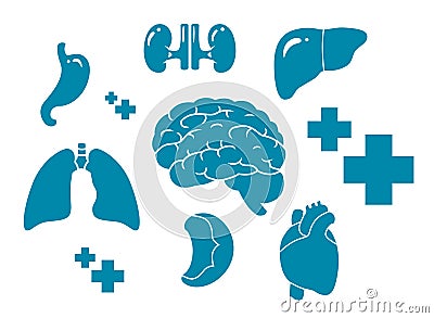 Internal organs icon set Vector Illustration