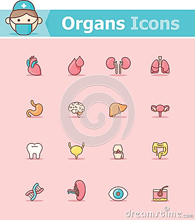 Internal organs icon set Vector Illustration