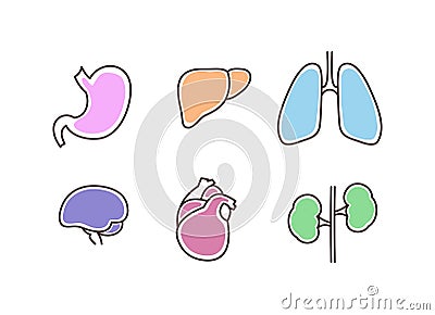 Internal organs icons, isolated drawings Vector Illustration