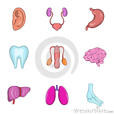 Internal organs icons set, cartoon style Vector Illustration