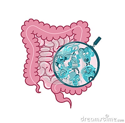 The internal vector.Digestive system,intestine symbol.Viscera, inside organs vector.Microscopic bacterias. microflora, viruses in Vector Illustration