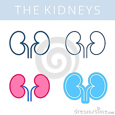 The internals icons. Kidneys and urogenital system vector outline symbols. Vector Illustration