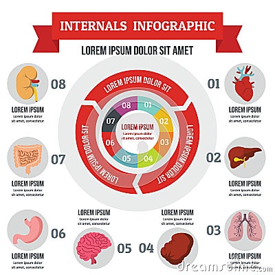 Internals infographic concept, flat style Vector Illustration