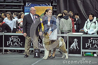 International dog show Editorial Stock Photo