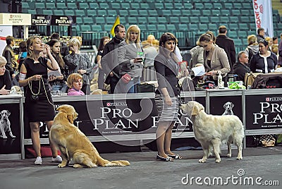 International dog show Editorial Stock Photo