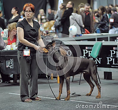 International dog show Editorial Stock Photo