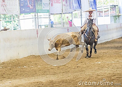 International Mariachi & Charros festival Editorial Stock Photo