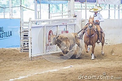 International Mariachi & Charros festival Editorial Stock Photo